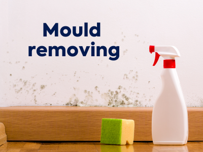 Banishing Mold for Good: The Power of Deep Cleaning